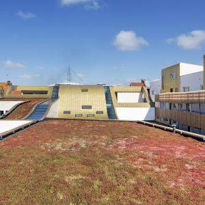 Ecole d'art et logements, Calais, Arcame