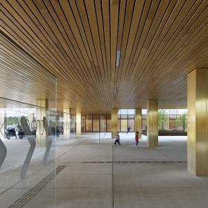 Hôpital Nord Franche Comté, Belfort, Brunet Saunier Architecture