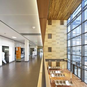 Hôpital Nord Franche Comté, Belfort, Brunet Saunier Architecture