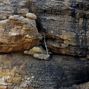 Pays Dogon, territoire des trois Youga