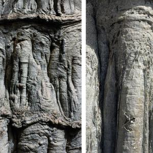 Pays Dogon, territoire des trois Youga