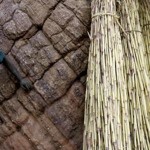 Pays Dogon, territoire des trois Youga