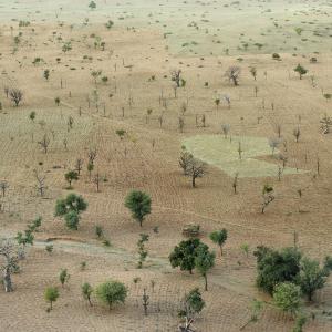 Pays Dogon, territoire des trois Youga