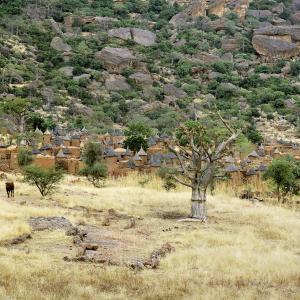 Pays Dogon, territoire des trois Youga