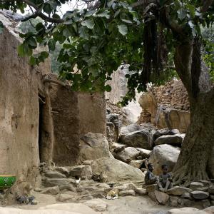 Pays Dogon, territoire des trois Youga