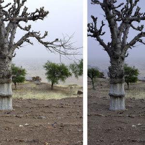 Pays Dogon, territoire des trois Youga