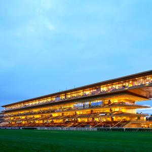Nouvelle tribune de l'hippodrome de Longchamp, Paris, Dominique Perrault architecture