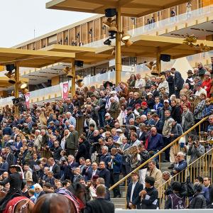 Nouvelle tribune de l'hippodrome de Longchamp, Paris, Dominique Perrault architecture