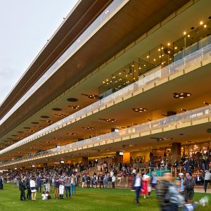 Nouvelle tribune de l'hippodrome de Longchamp, Paris, Dominique Perrault architecture
