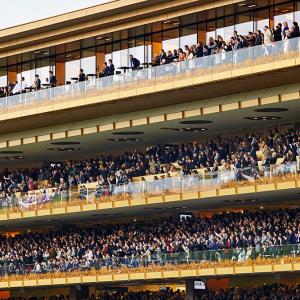 Nouvelle tribune de l'hippodrome de Longchamp, Paris, Dominique Perrault architecture