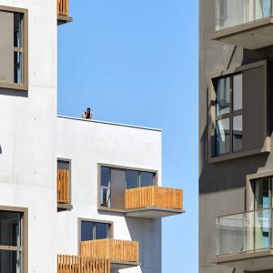 Logements, Ile de Nantes, Nantes, Explorations Architecture