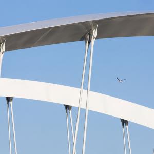 Pont Robert Schuman, Lyon, Explorations Architecture