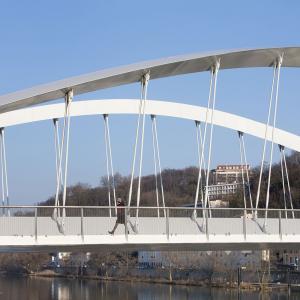 Pont Robert Schuman, Lyon, Explorations Architecture