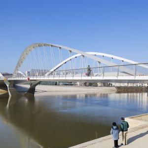 Pont Robert Schuman, Lyon, Explorations Architecture