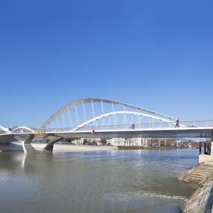 Pont Robert Schuman, Lyon, Explorations Architecture