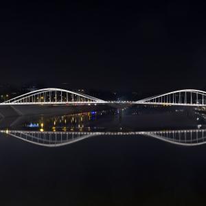 Pont Robert Schuman, Lyon, Explorations Architecture