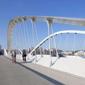Pont Robert Schuman, Lyon, Explorations Architecture