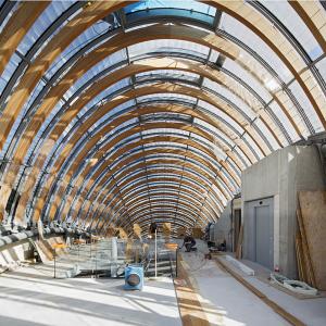 Chantier de la Fondation Jérôme Seydoux - Pathé, Paris 13, RPBW architecte