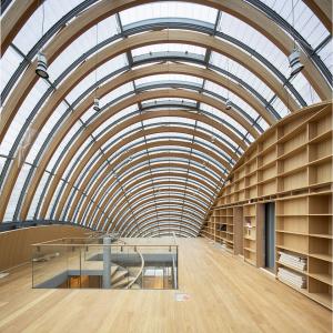 Chantier de la Fondation Jérôme Seydoux - Pathé, Paris 13, RPBW architecte