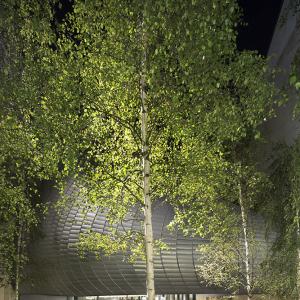 Fondation Jérôme Seydoux - Pathé, Paris 13, RPBW architecte