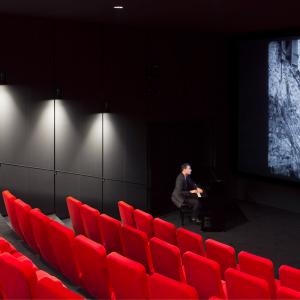 Fondation Jérôme Seydoux - Pathé, Paris 13, RPBW architecte