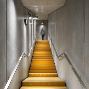 Fondation Jérôme Seydoux - Pathé, Paris 13, RPBW architecte