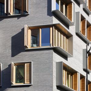 Logements ZAC Boucicaut Paris 15, Michel Guthmann architecte