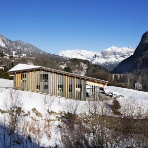 Siège de la société Blue Ice, Les Houches, Haute-Savoie, Kengo Kuma architecte