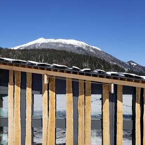 Siège de la société Blue Ice, Les Houches, Haute-Savoie, Kengo Kuma architecte