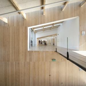 Siège de la société Blue Ice, Les Houches, Haute-Savoie, Kengo Kuma architecte