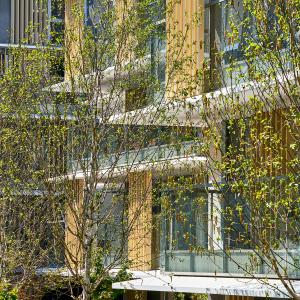 Logements, Vanves, Hauts-de-Seine, Kengo Kuma architecte