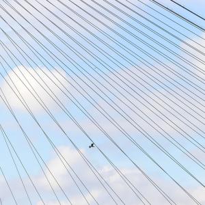 Pont Yavuz Sultan Selim, Istanbul, Michel Virlogeux et Jean-François Klein concepteurs