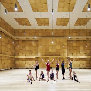 Fondation Stavros Narchos, Centre culturel, Athènes, Grèce, RPBW architecte