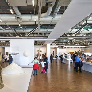 Centre Pompidou, Paris, exposition César, février 2018
