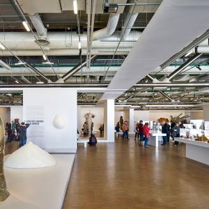 Centre Pompidou, Paris, exposition César, février 2018