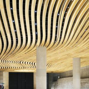 Foyer du Carrousel du Louvre, Paris, SEARCH architecte