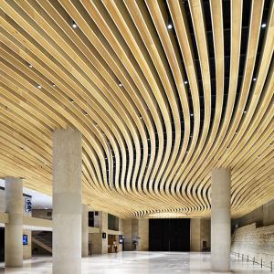 Foyer du Carrousel du Louvre, Paris, SEARCH architecte