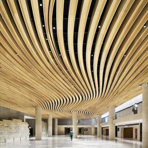 Foyer du Carrousel du Louvre, Paris, SEARCH architecte